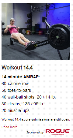 CrossFit Games 2014 - Page 2 14410