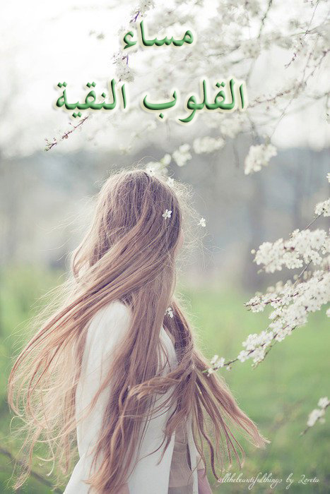 صباحكم سعيد ياأحلى أعضاء - صفحة 26 26894_10