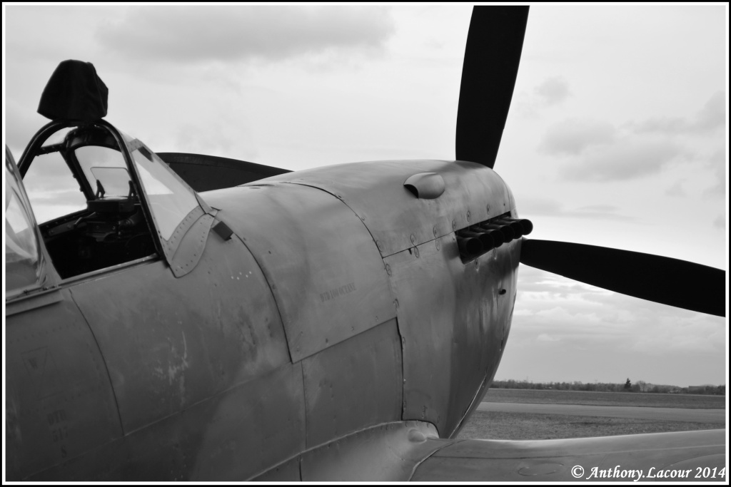 Supermarine Spitfire Mk.XVIe TE184 Dsc_0033