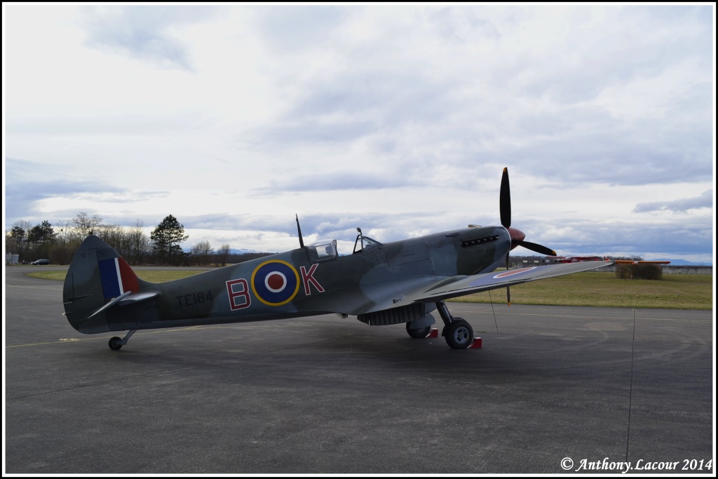 Supermarine Spitfire Mk.XVIe TE184 Dsc_0117