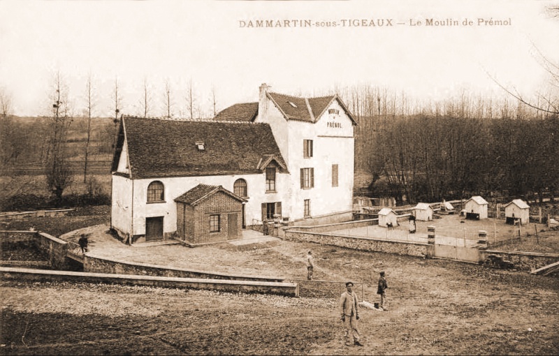 Dt 77: Seine et Marne Moulin de Prémol de Dammartin sur Tigneaux D32610