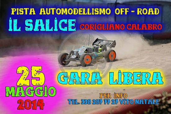 News: Gara libera circuito Il Salice - Locandina 19568010