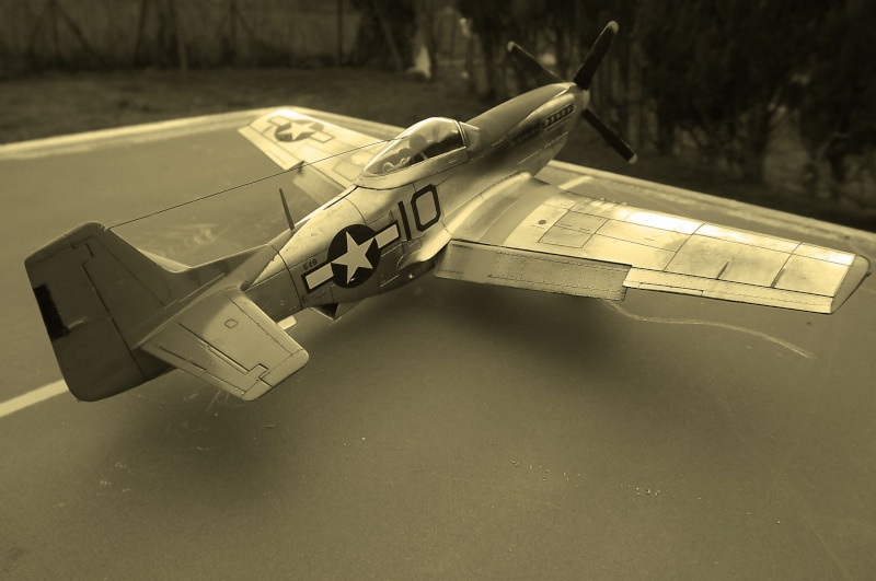 Mustang P51-D  Tuskegee-Airmen 1/48  Dscf3938