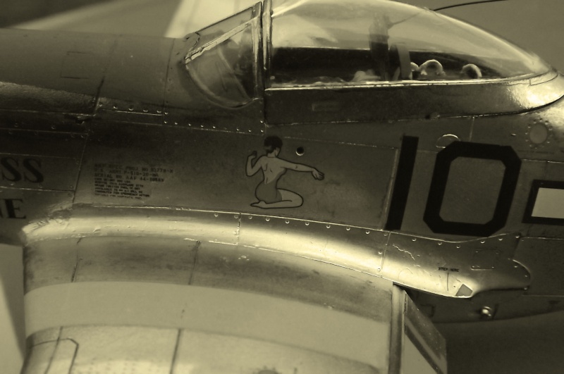 Mustang P51-D  Tuskegee-Airmen 1/48  Dscf3939