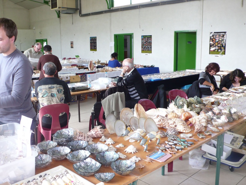 2013 Bourse de Berry au Bac / Reims - 12 & 13 octobre Berry_12