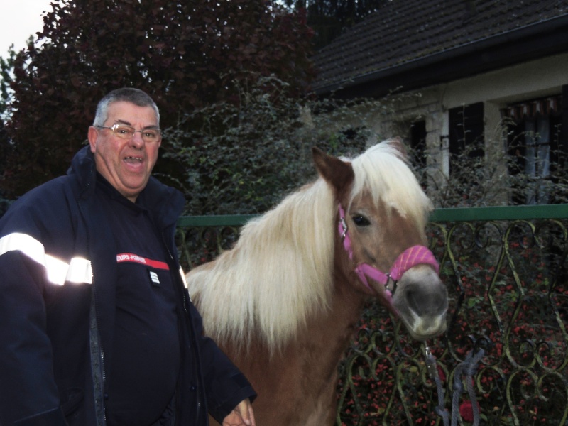 MELISSE - ONC typée Haflinger née en 2002  - adoptée en novembre 2013 par fannybis - Page 5 Dscn9711