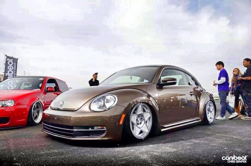 new beetle 2011 - Page 3 18885110