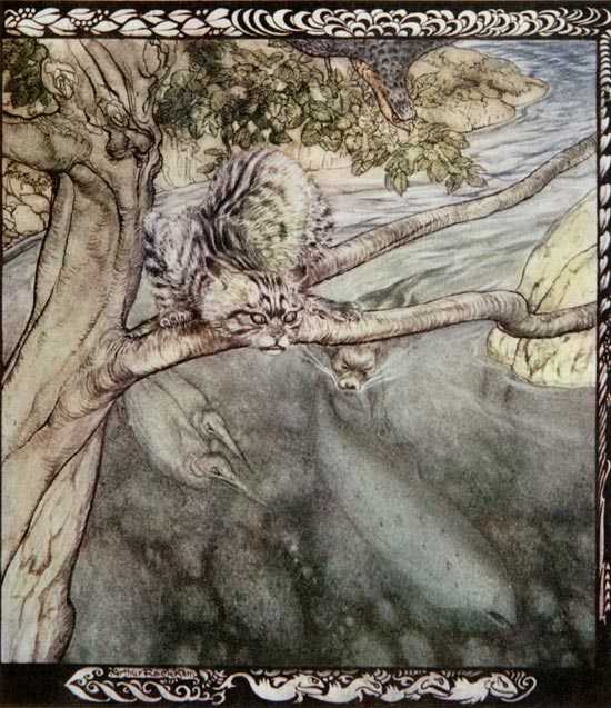 Arthur Rackham Cat10