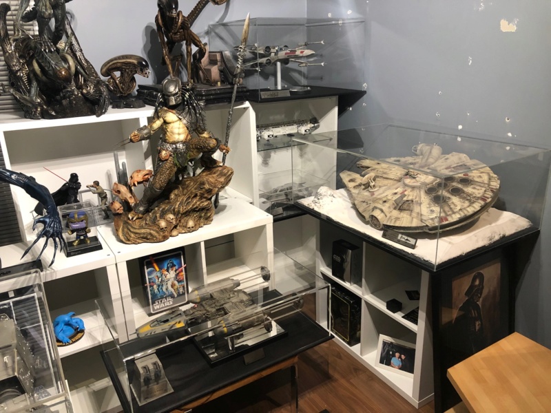 Collection n°498 : Turtle74100 Img_5614