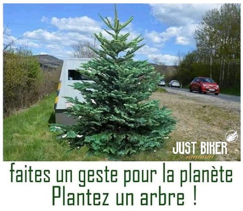 Humour en image du Forum Passion-Harley  ... - Page 10 Sapin10