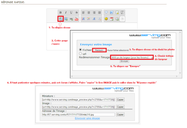 Pour insérer des images sur le forum Explic10