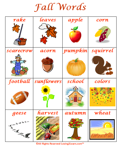 VOCABULARY in pictures - Page 7 Fall_w10