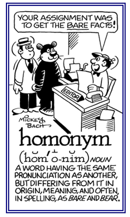 Homonyms, Homographs, and Homophones Homony10