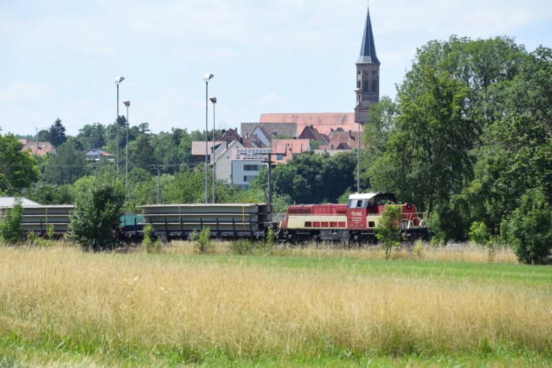 V 180 und 181 der Hohenzollerischen Landesbahn - Seite 2 Dsc_0366