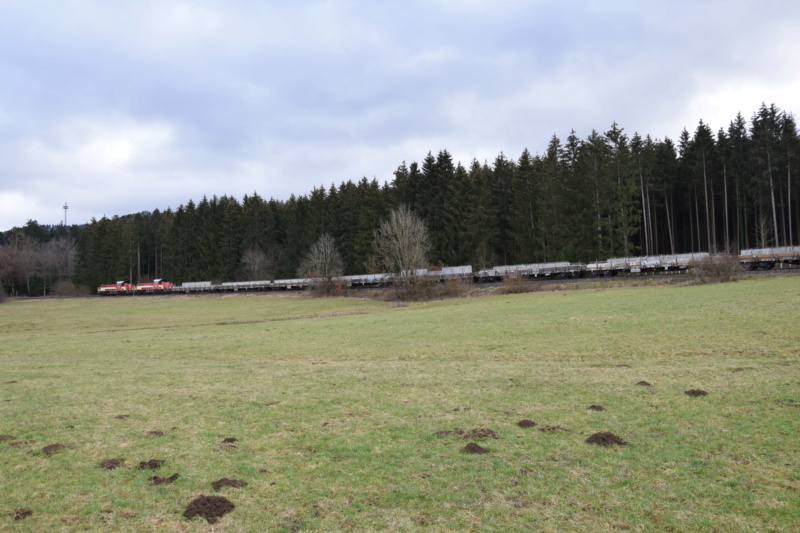 V 180 und 181 der Hohenzollerischen Landesbahn - Seite 2 Dsc_0377