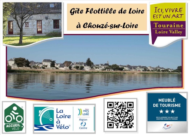Gîte Flottille de Loire, au coeur du parc naturel régional Loire Anjou Touraine, 37140 Chouzé-sur-Loire (Indre-et-Loire) Loire-10