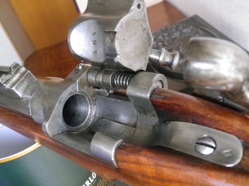 carabine de Chasseurs TABATIERE mle 1867 Imgp6821