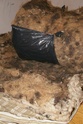 Recyclage d'un matelas en laine Dsc04112
