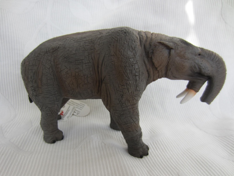 MOJO's Prehistoric mammals Img_6529