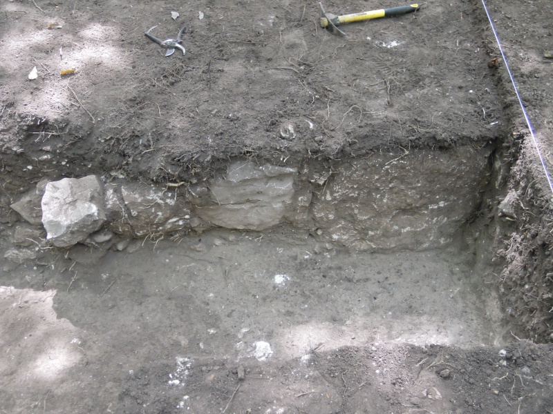 Luna Did Archaeology in Belize  Dscn1510