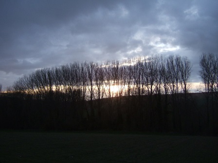 (80) La vallée de la Noye au printemps Dscf9214