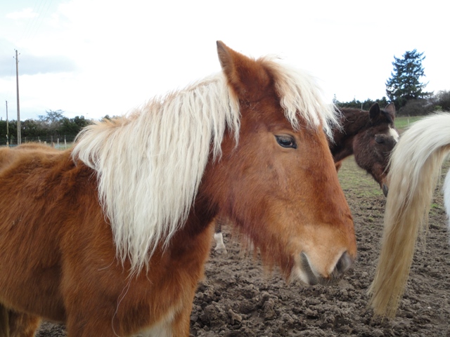 Les dadous 19-02-2014 Photo_21