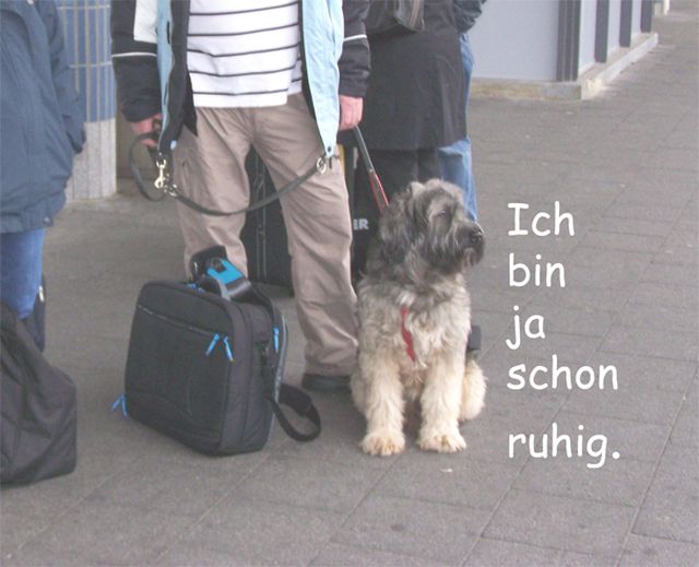 Kasimir macht Urlaub 2007 000110