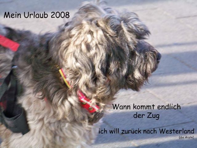 Kasimir macht Urlaub 2008 100_0310