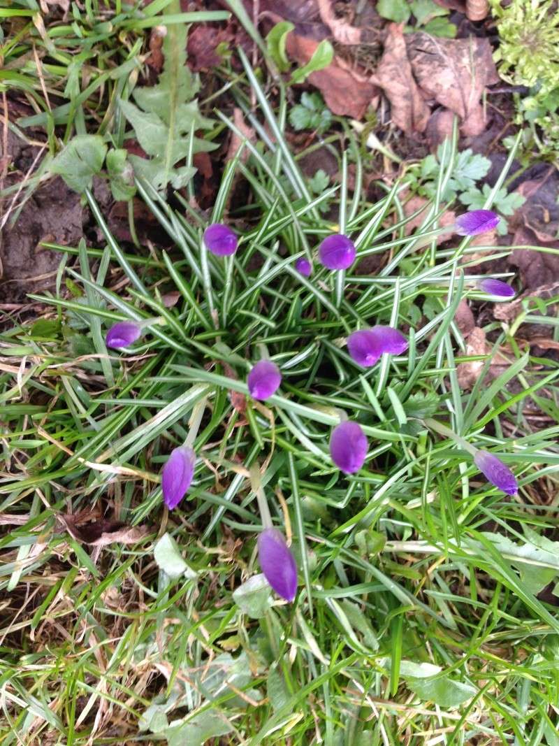 Frühling!!! - Seite 2 2014-071