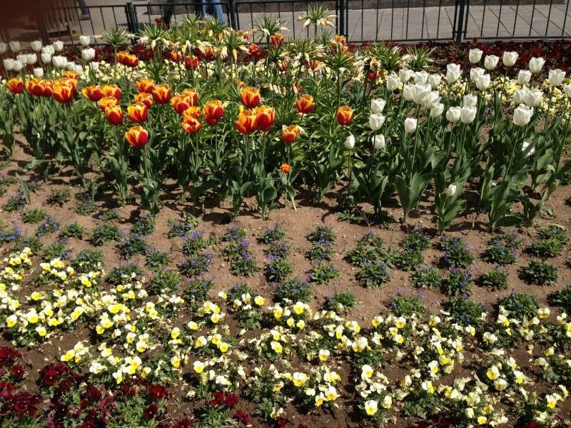 Frühling!!! - Seite 10 2014-125
