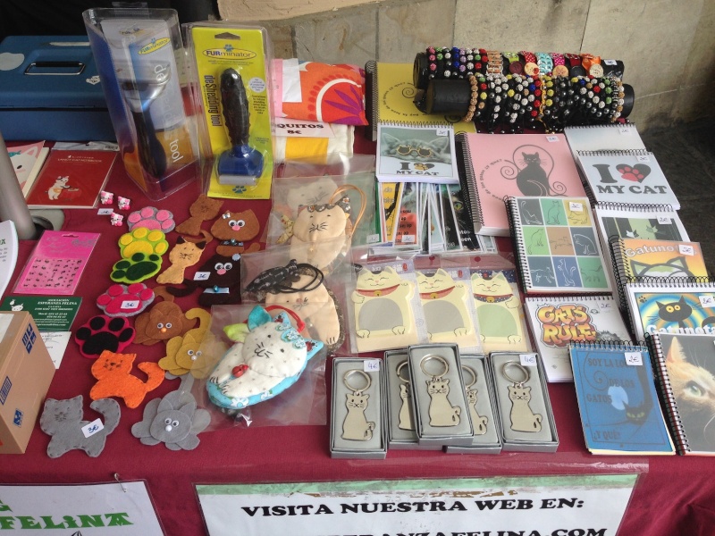 Esperanza Felina en "El Mercado de La Almendra" en Vitoria - Página 22 02123