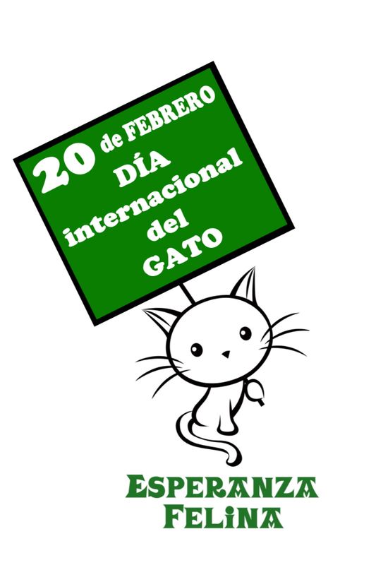 20 de Febrero, día internacional del Gato 05911