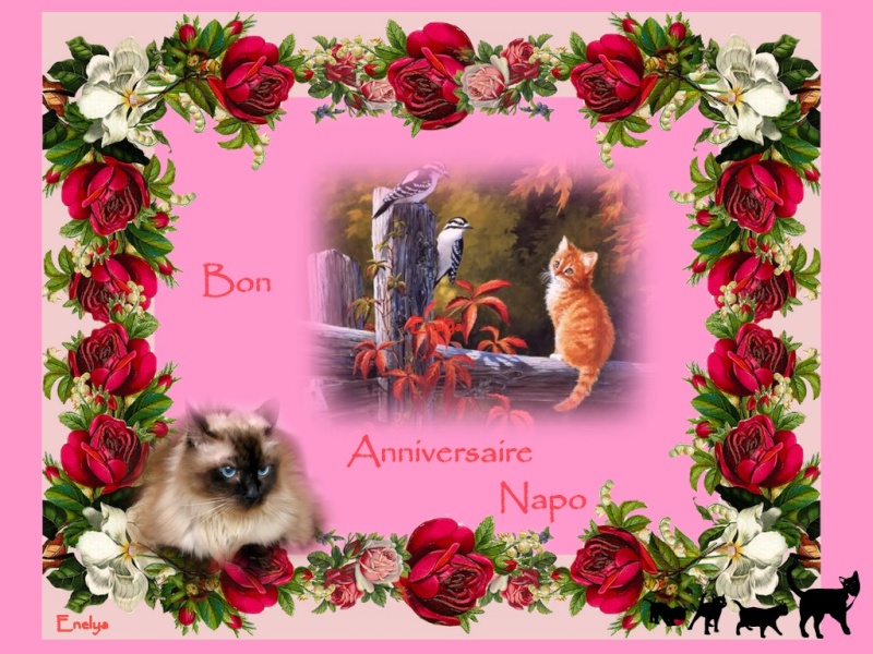 Bon Anniversaire Napo Annive10