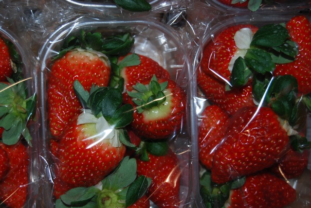 une variété de fraise curieuse Fraise10