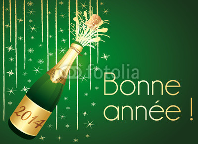 bonne année 2014 400_f_12