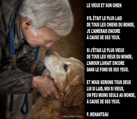 Le Vieux Et Son Chien