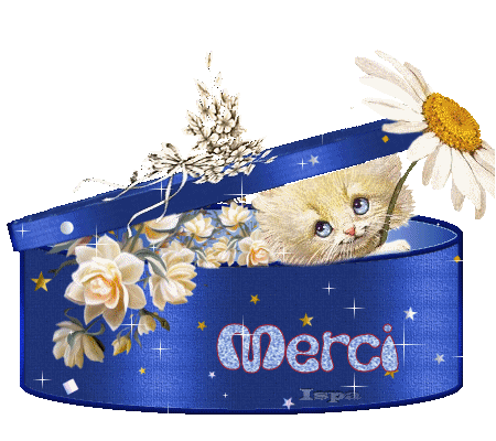 Joyeux Anniversaire Evelyne Joyeux Anniversaire Evelyne
