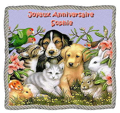 Bon Anniversaire Sophie Bon Anniversaire Sophie