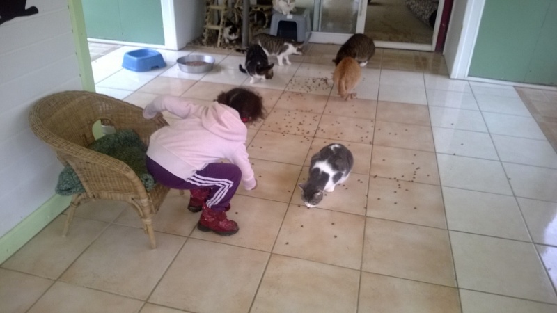 les chats aiment Kimia et ses gateries Wp_20155