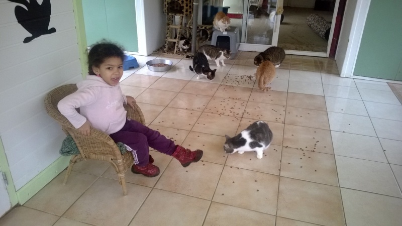 les chats aiment Kimia et ses gateries Wp_20156