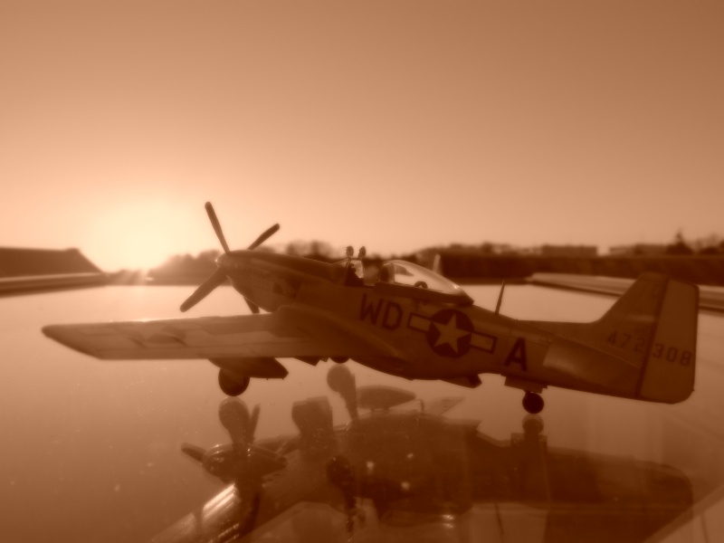 [Tamiya] P-51D-20 Ridge Runner IV Dscn0334