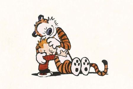 Calvin et Hobbes (Bill Watterson) W12