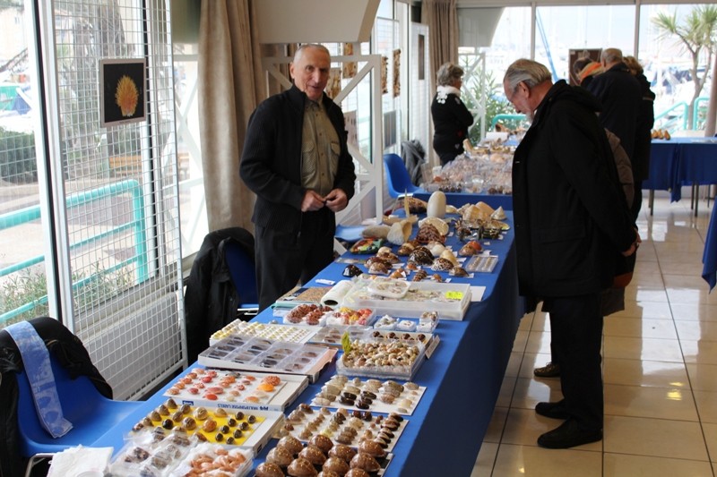 2013 Bourse de Fréjus - 30 novembre & 1 décembre Img_3312