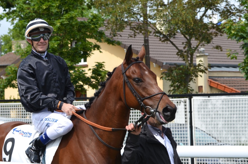 Le compteur de victoires : Heartiste à Maisons-Laffitte Dsc_0195