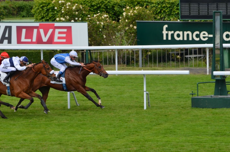 Le compteur de victoires : 23 mai, Mondialiste, 2576  Dsc_0757