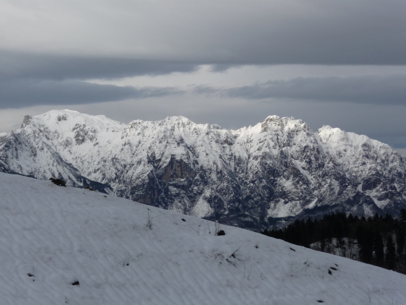 [Prealpi Venete Occidentali] varie ed eventuali...  - Pagina 4 P1090810