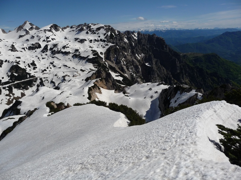 [Prealpi Venete Occidentali] varie ed eventuali...  - Pagina 6 P1100911