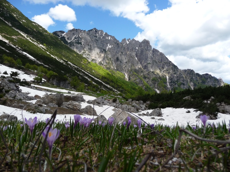 [Prealpi Venete Occidentali] varie ed eventuali...  - Pagina 6 P1100913