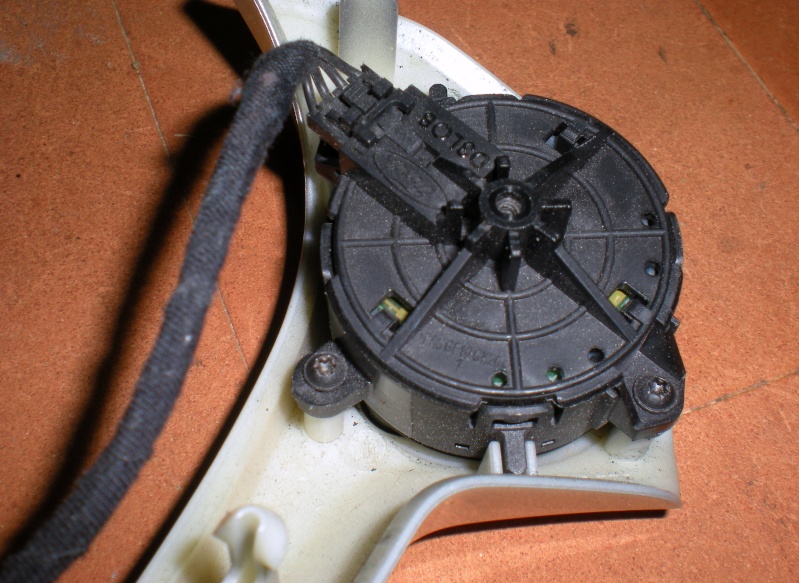 Alessio Vs, Detailing Volante in Pelle  Dscn2544