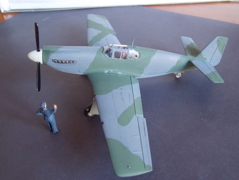 (Projet AA) Mustang Mk Ia du 168 sqdn RAF - Page 2 Camo_510